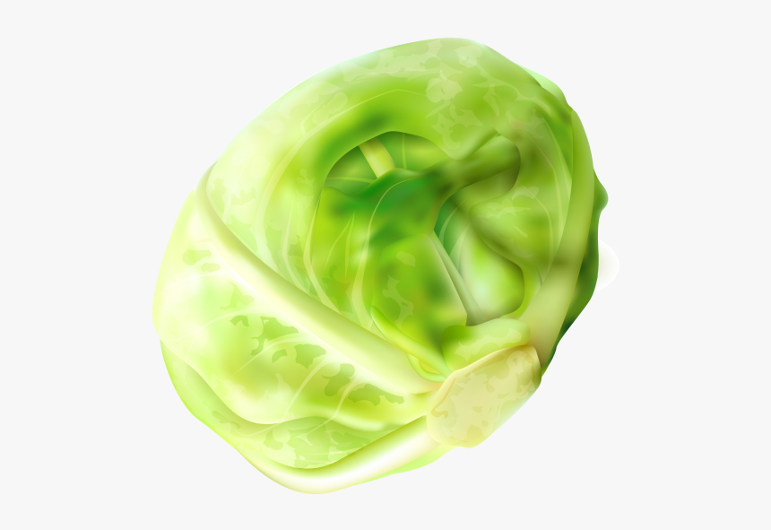 Cabbage Clipart Png Image Free Download Searchpng - Brussel Sprout Png, Transparent Png
