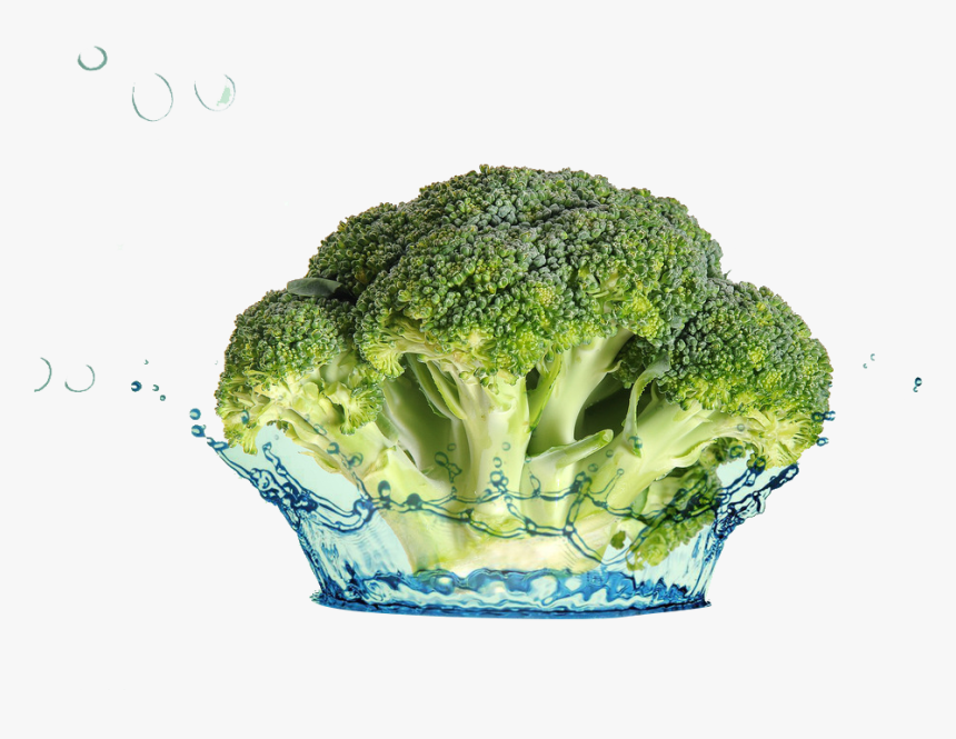 Broccoli, HD Png Download