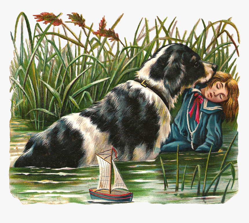 Cocker Spaniel, HD Png Download