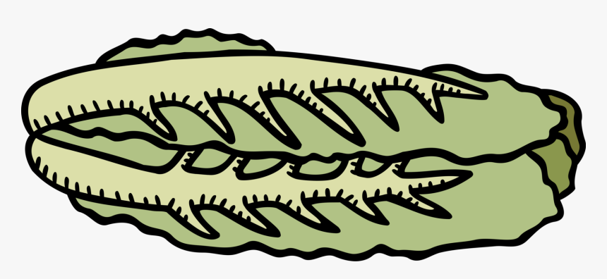 19 Salad Vector Green Huge Freebie Download For Powerpoint, HD Png Download