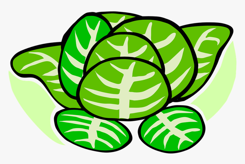 Cabbage, Lettuce, Plant, Vegetables - Cabbage Patch Clip Art, HD Png Download