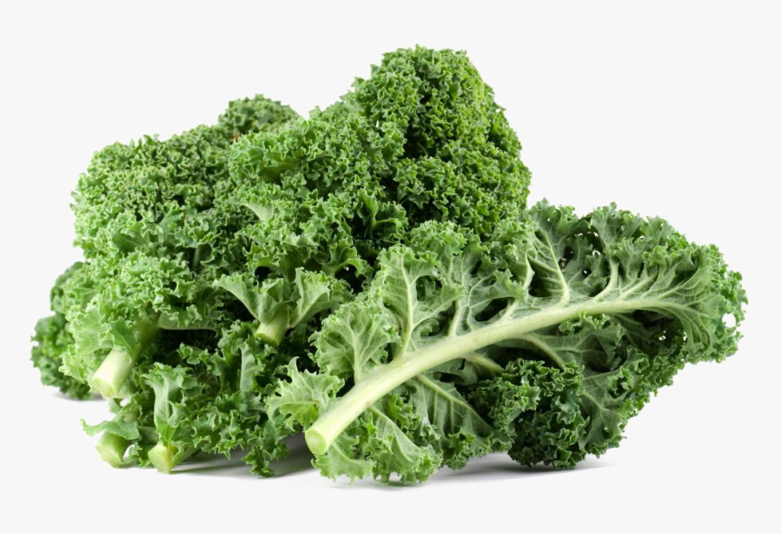 Kale Png Free Download - Kale Png, Transparent Png