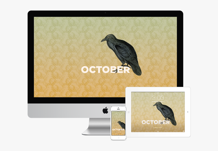 Wallpapers-october - Marabou Stork, HD Png Download