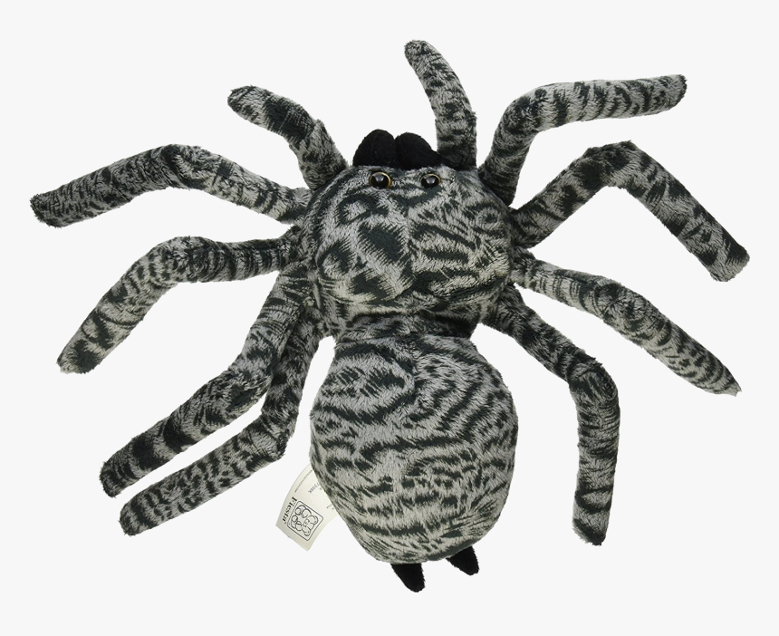 Spider Png Photo - Tarantula Spider, Transparent Png