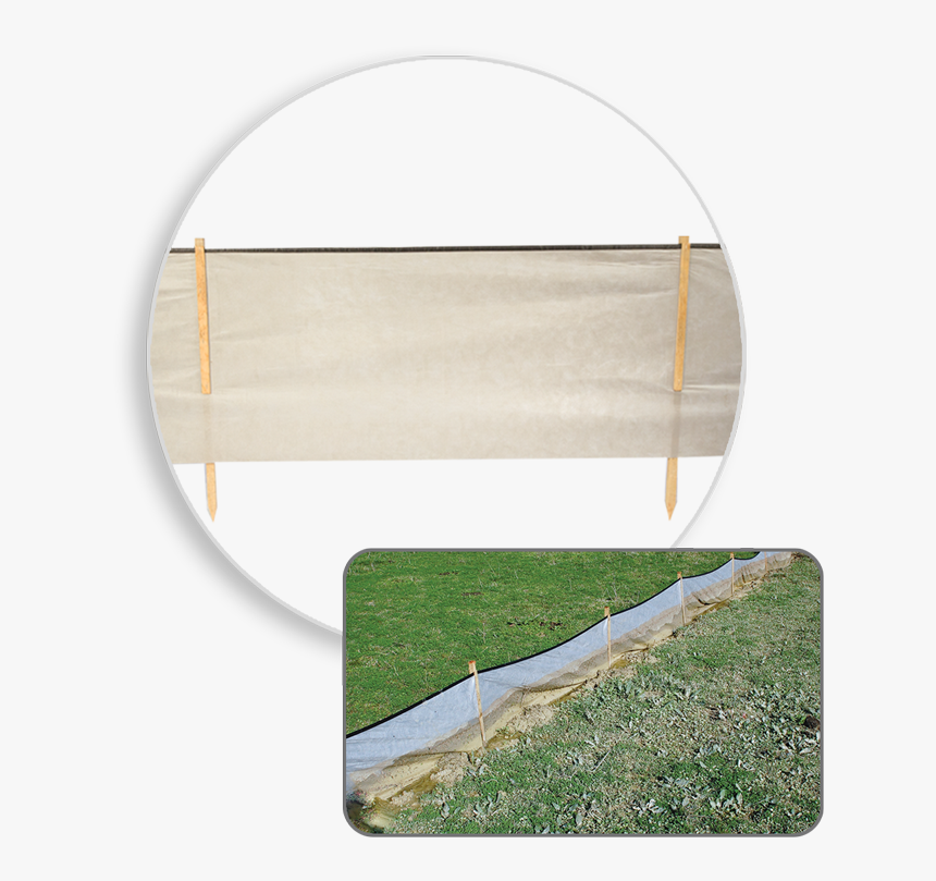 Bsrf Priority - Grass, HD Png Download