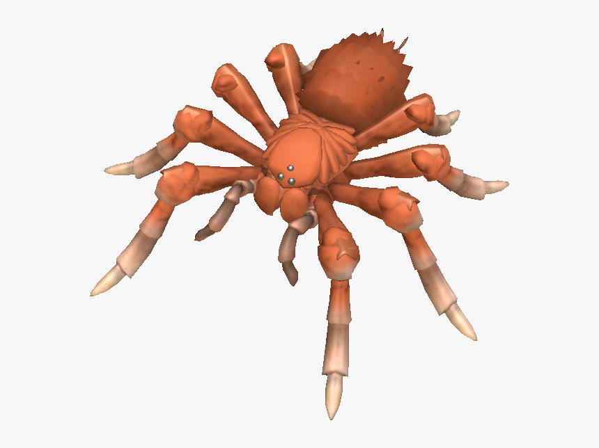 Wolf Spiders Are Ambush Hunters, And Do Not Build A - Spore Spiders, HD Png Download