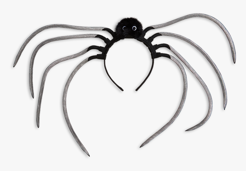 Insect, HD Png Download