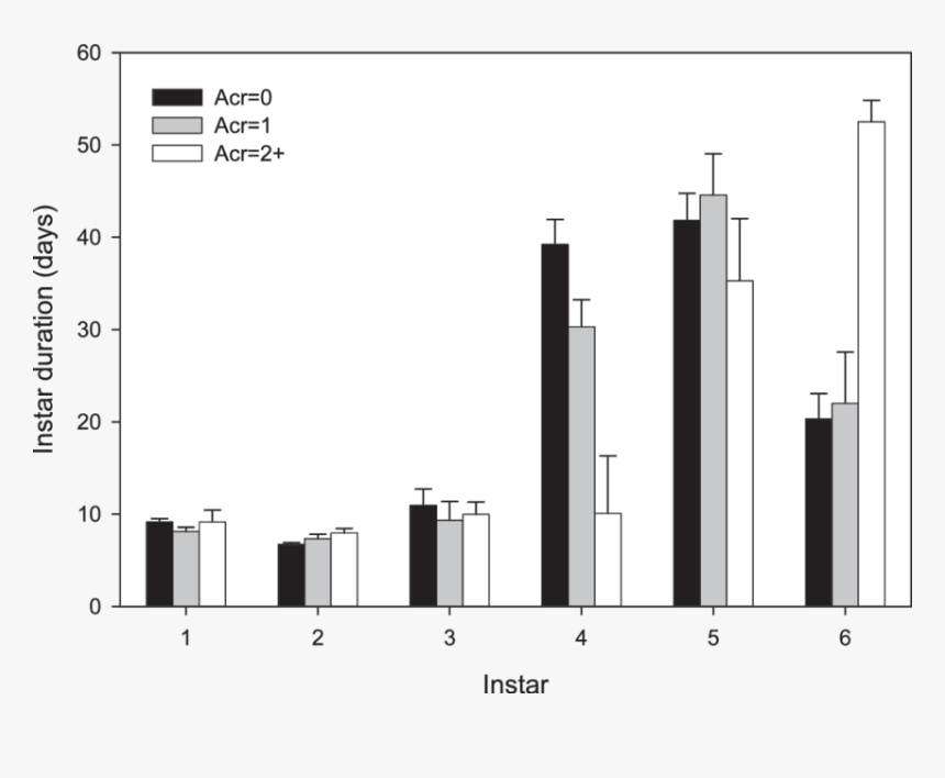 Duration Of Juvenile Instars Of The Wolf Spider Pardosa - Portable Network Graphics, HD Png Download