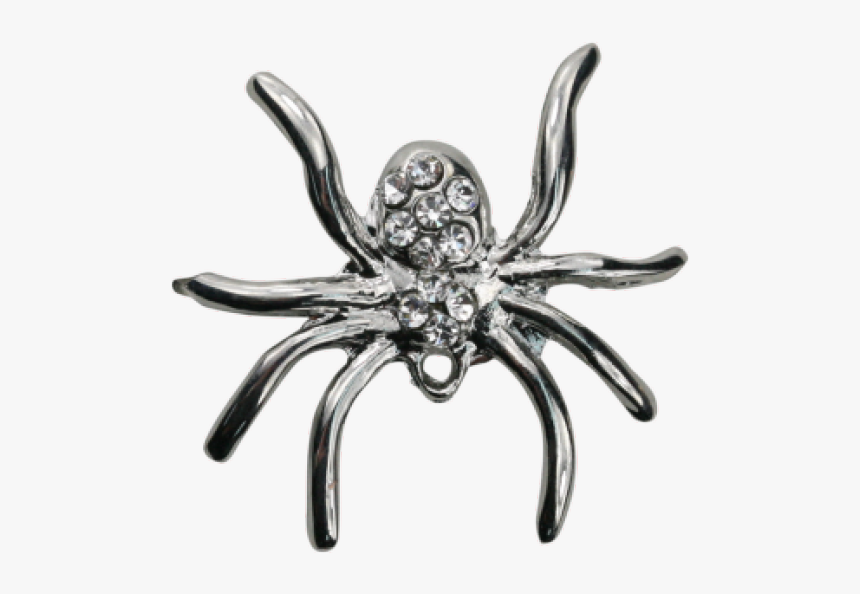 Wolf Spider, HD Png Download