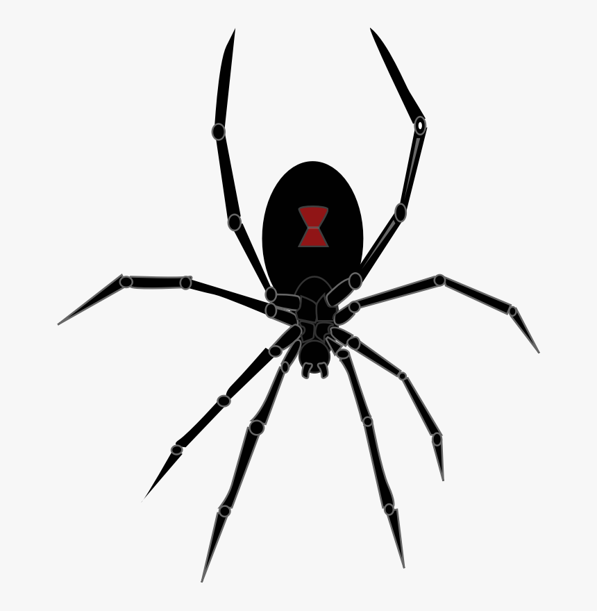 Spiders Unbugme Pest Control - Black Widow Spider Png, Transparent Png