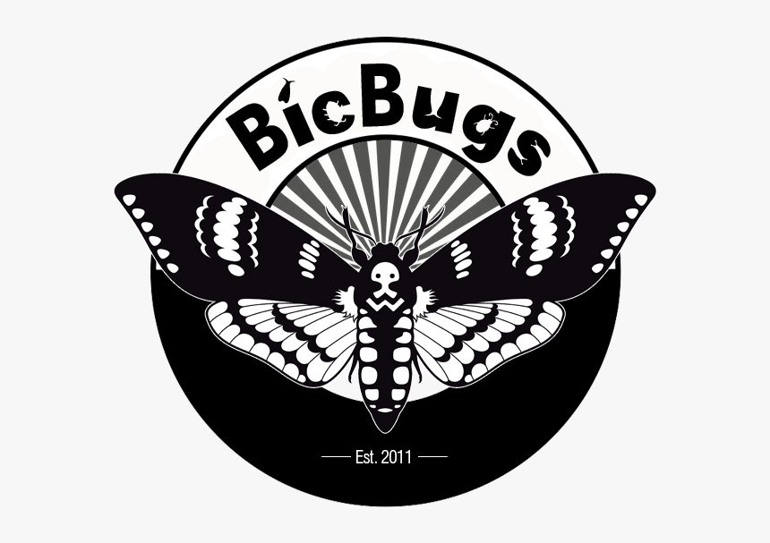 Bicbugs - Deaths Head Moth Logo, HD Png Download