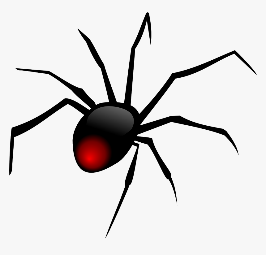 Spider Black Red Free Picture - Spider Clipart Png, Transparent Png