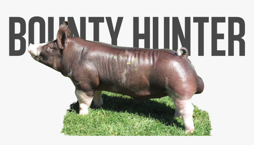 Lebowski, HD Png Download