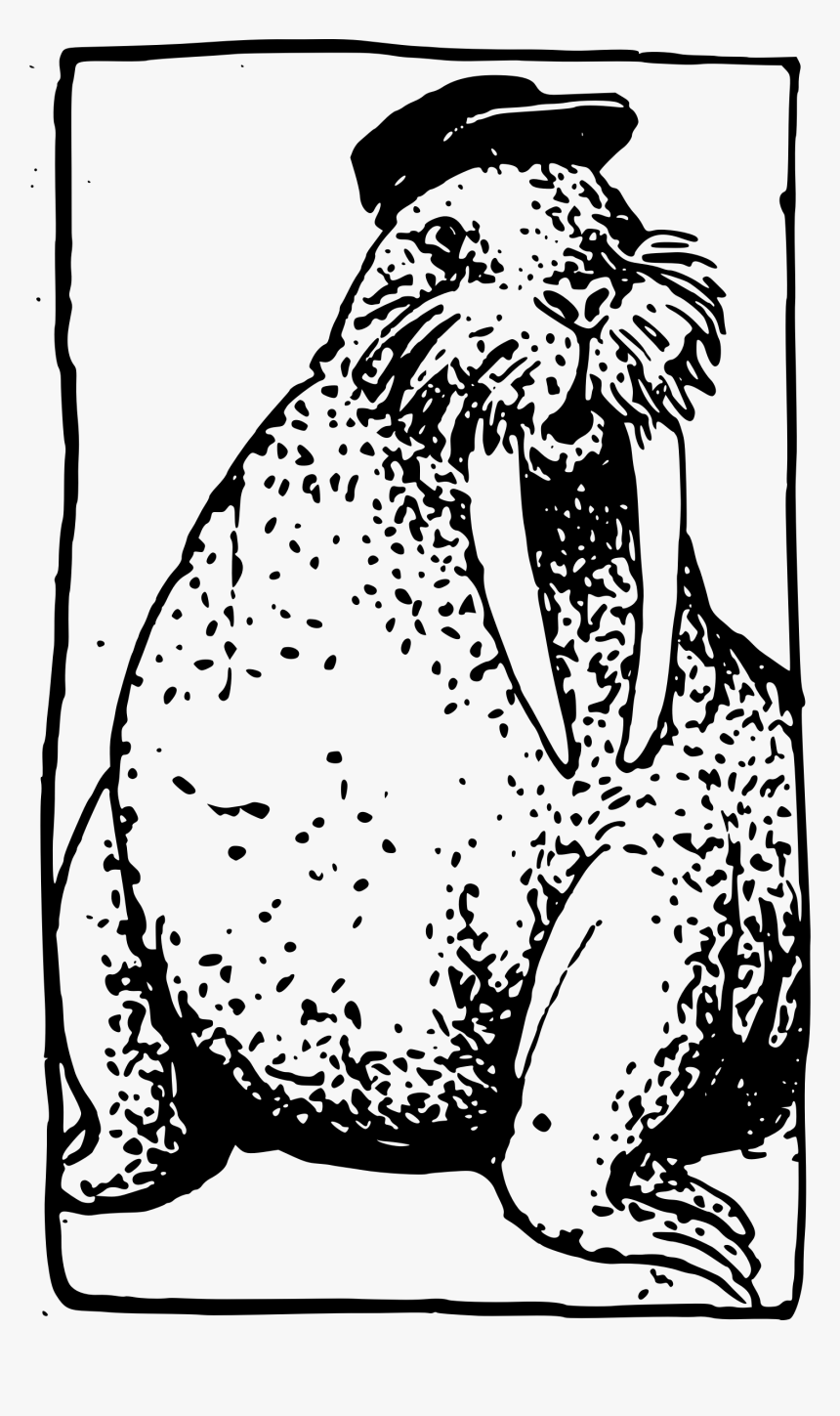 Transparent Walrus Clipart - Illustration, HD Png Download