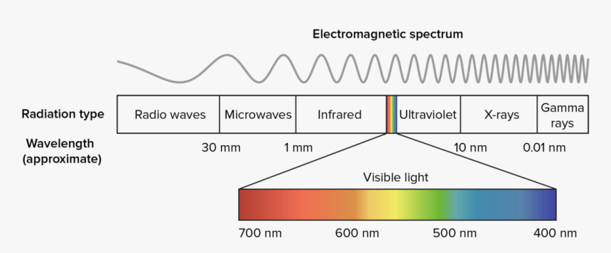 Wavelengths Of Light, HD Png Download