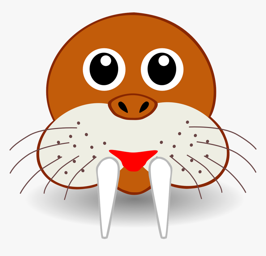 Walrus Face Clipart, HD Png Download