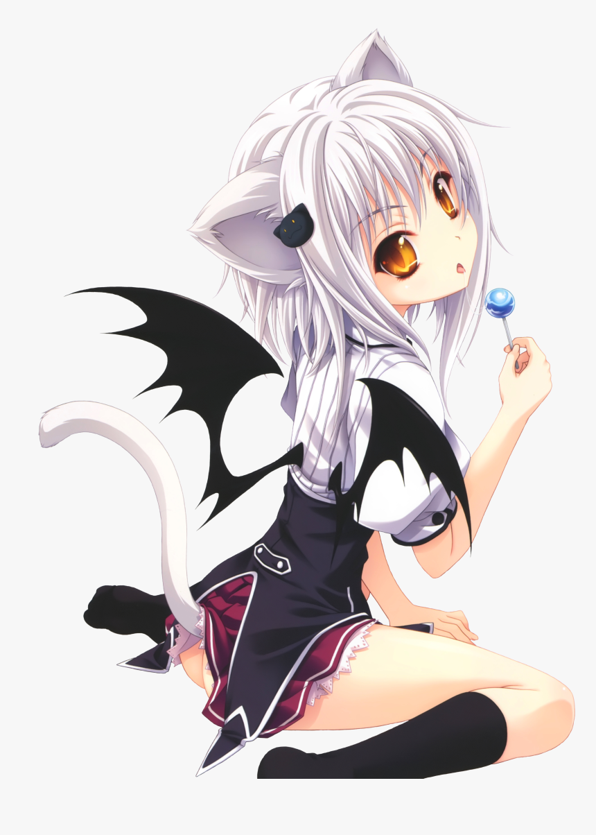 No Caption Provided - High School Dxd Cat, HD Png Download