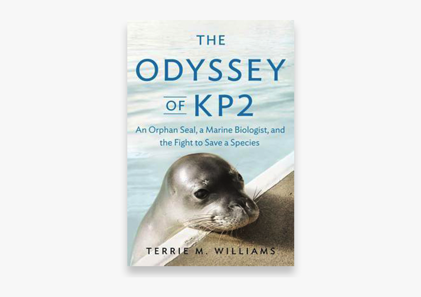 New Book By Ucsc Biologist Highlights Efforts To Save - Steller Sea Lion, HD Png Download