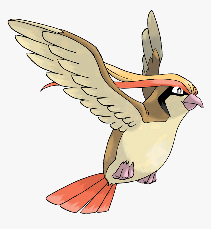 Pokemon Pidgeot, HD Png Download