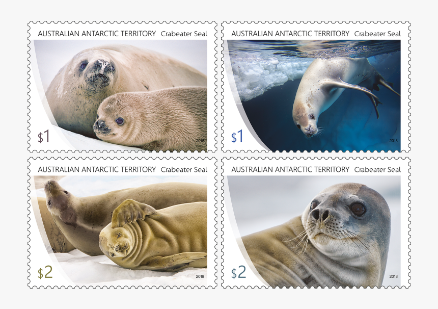 Crabeater Seal In Stamps, HD Png Download