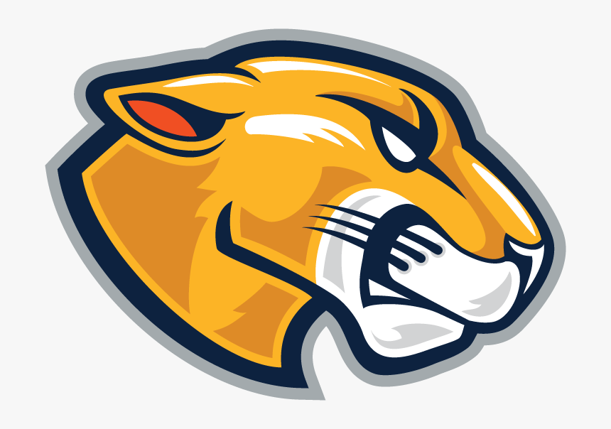 Tb-lion Head - Lion Mascot Logo Png, Transparent Png