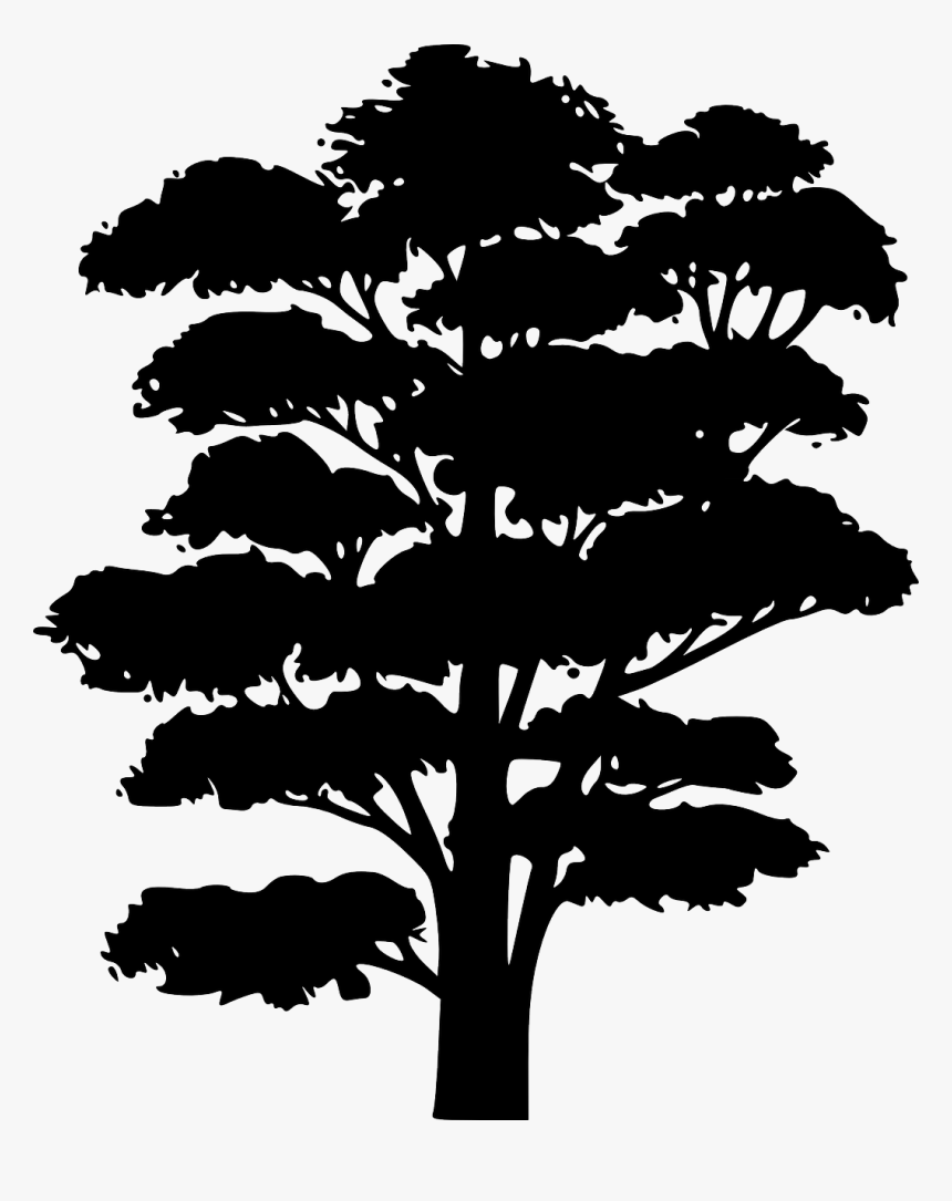 Jungle Trees Png - Jungle Tree Silhouette Png, Transparent Png