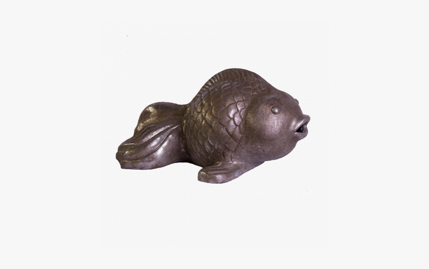 Elephant Seals, HD Png Download