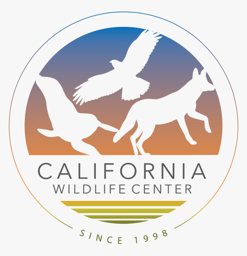 California Wildlife Center, HD Png Download