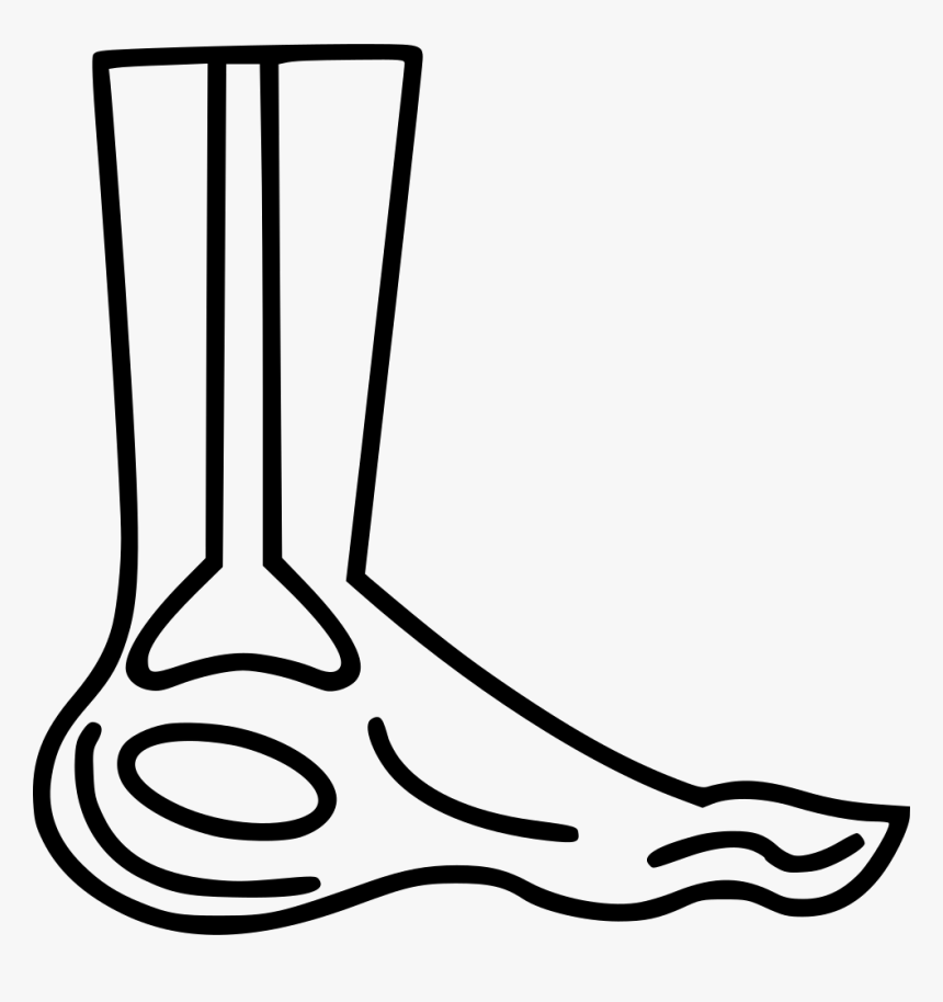 Foot X Ray - X Ray Icon Foot Png, Transparent Png , Transparent Png ...
