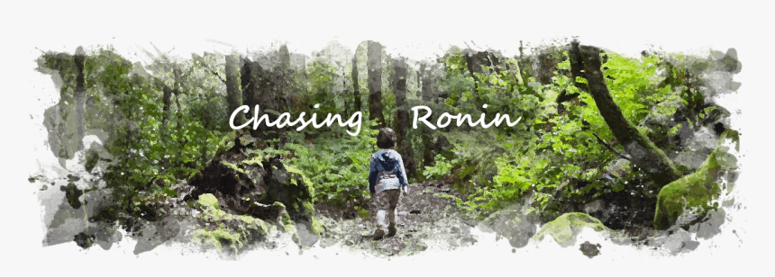 Chasing Ronin - Old-growth Forest, HD Png Download