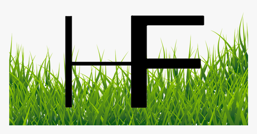 What Other Items Do Customers Buy After Viewing This - Grass Images For Editing, HD Png Download