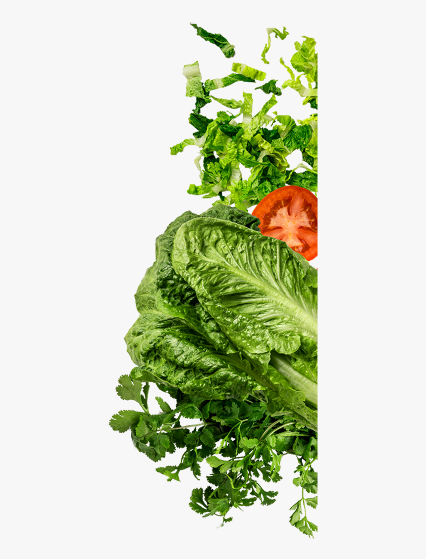Tacos Clipart Shredded Lettuce - Veg Png Top View, Transparent Png