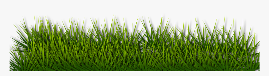 Background Border Grass Green Herb Landscape - Green Floor Png Grass, Transparent Png