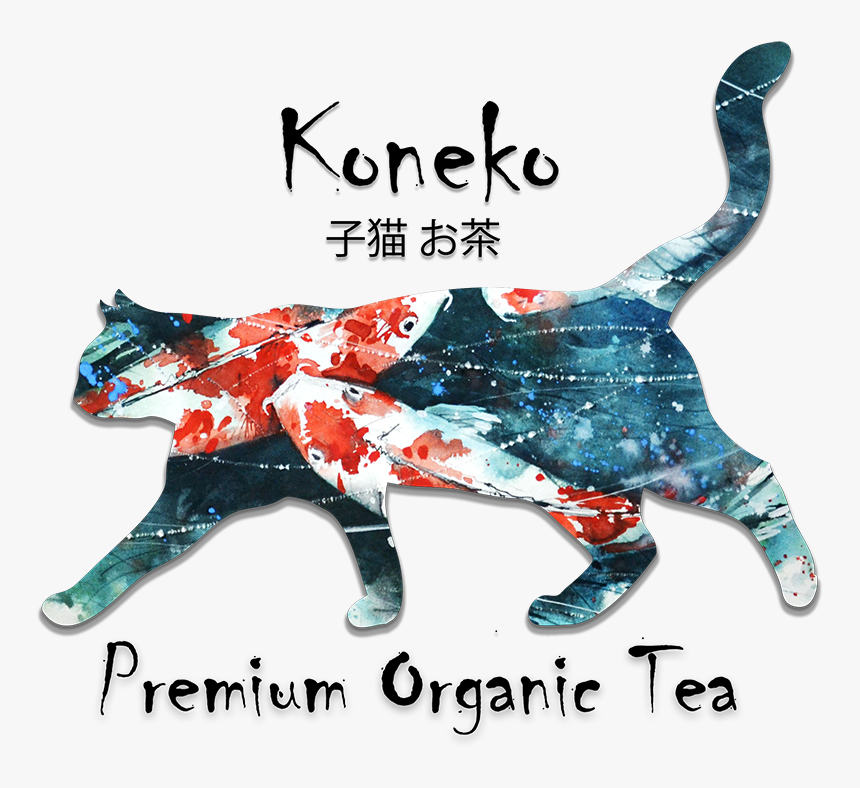 Hipica El Corcel Negro, HD Png Download