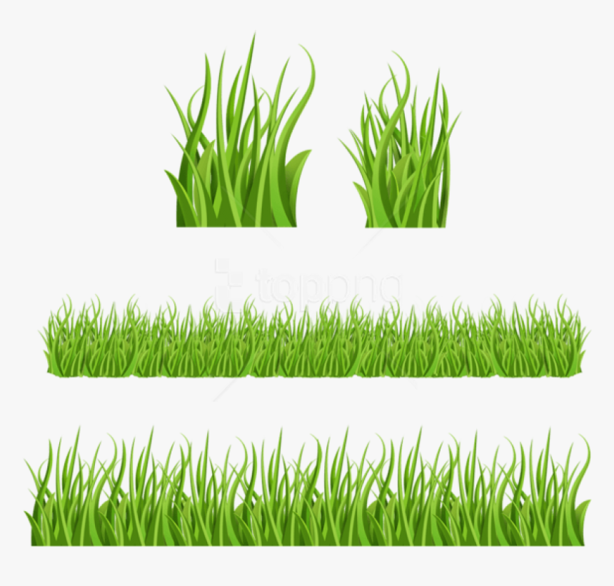 Green Grass Png - Gras Zeichentrick, Transparent Png