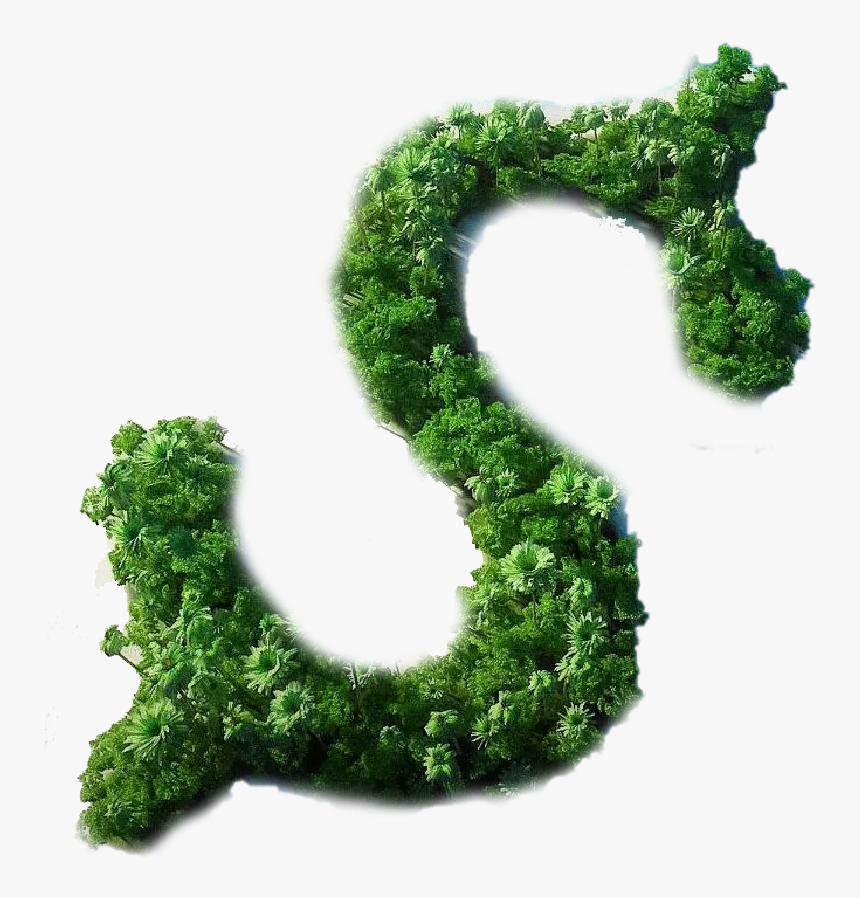 Us Dollar Png - Moss, Transparent Png