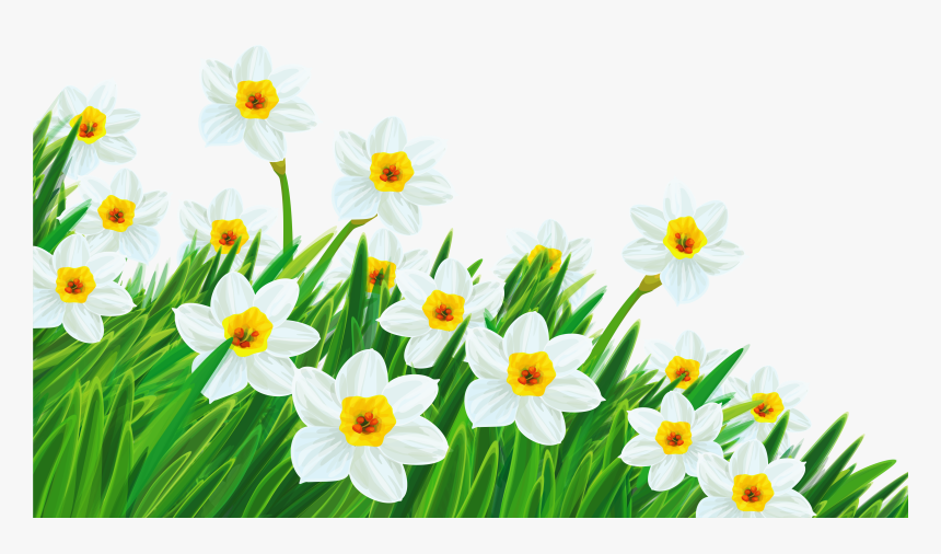 Grass Clipart With No Background - Transparent Background Clip Art Flowers, HD Png Download