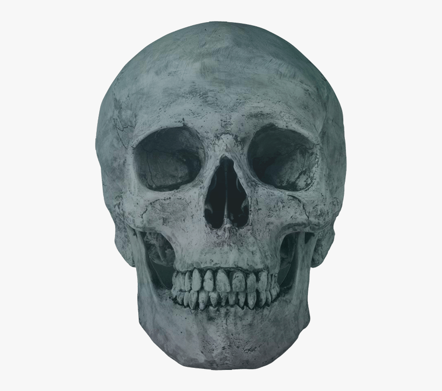 Skeleton Head Png, Transparent Png