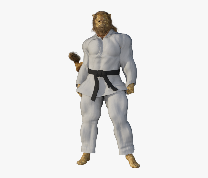 Brazilian Jiu-jitsu, HD Png Download