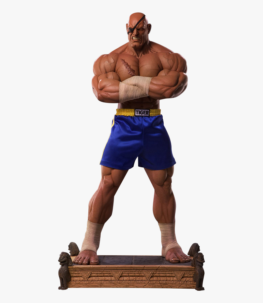 Street Fighter Sagat Action Figures, HD Png Download