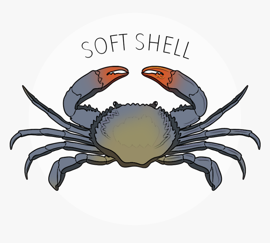 Freshwater Crab, HD Png Download