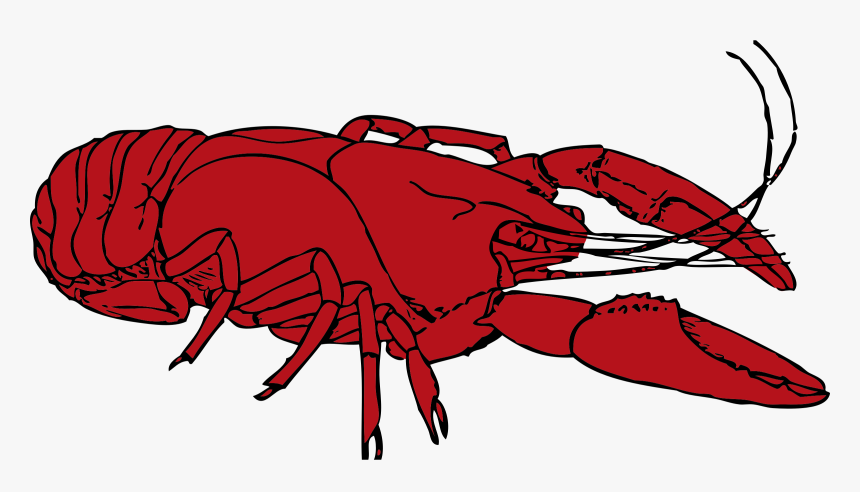 Crustacean Marine Free Collection - Crawfish Clipart, HD Png Download