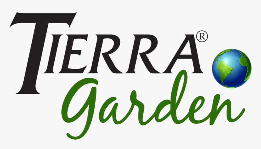 Graphics, HD Png Download