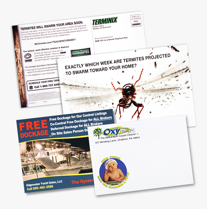 Flyer, HD Png Download