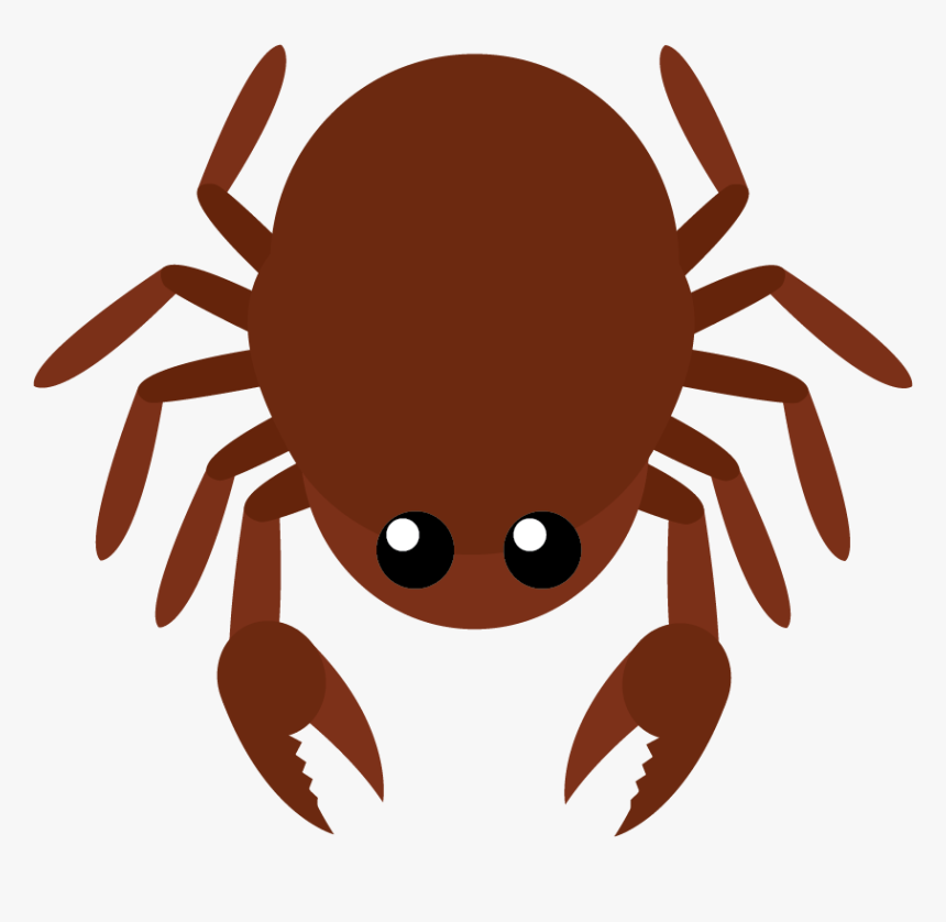 Transparent Crab Legs Png - Insect, Png Download