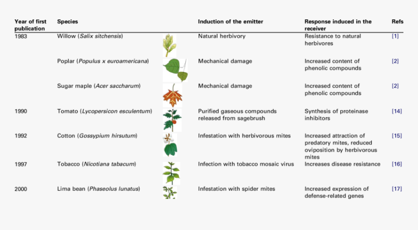 History Of Research On Airborne Plant Plant Signaling  - Air Borne Plant Diseases, HD Png Download