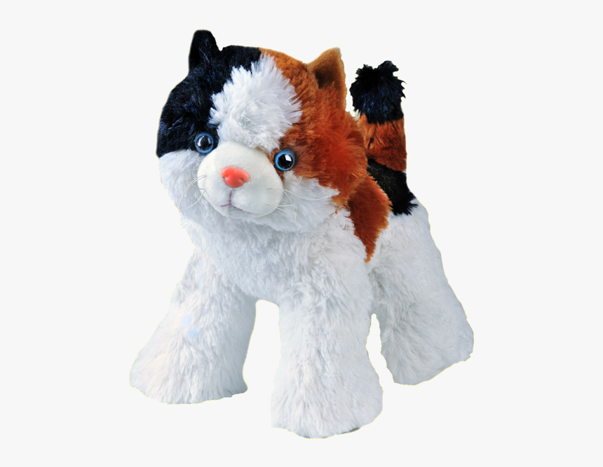 Cat Teddy Png, Transparent Png