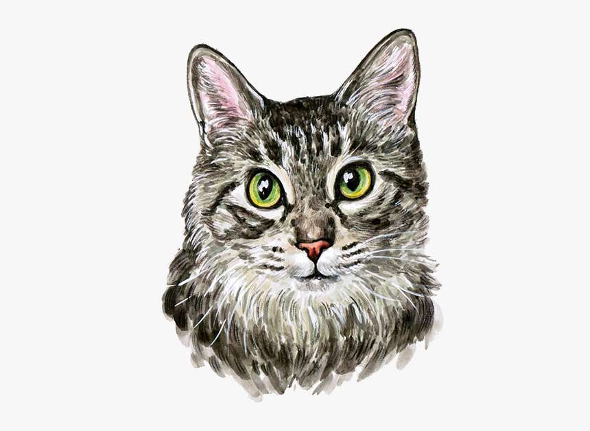 Cat Kitten Watercolor Painting Cuteness - Cat Painting Png, Transparent Png