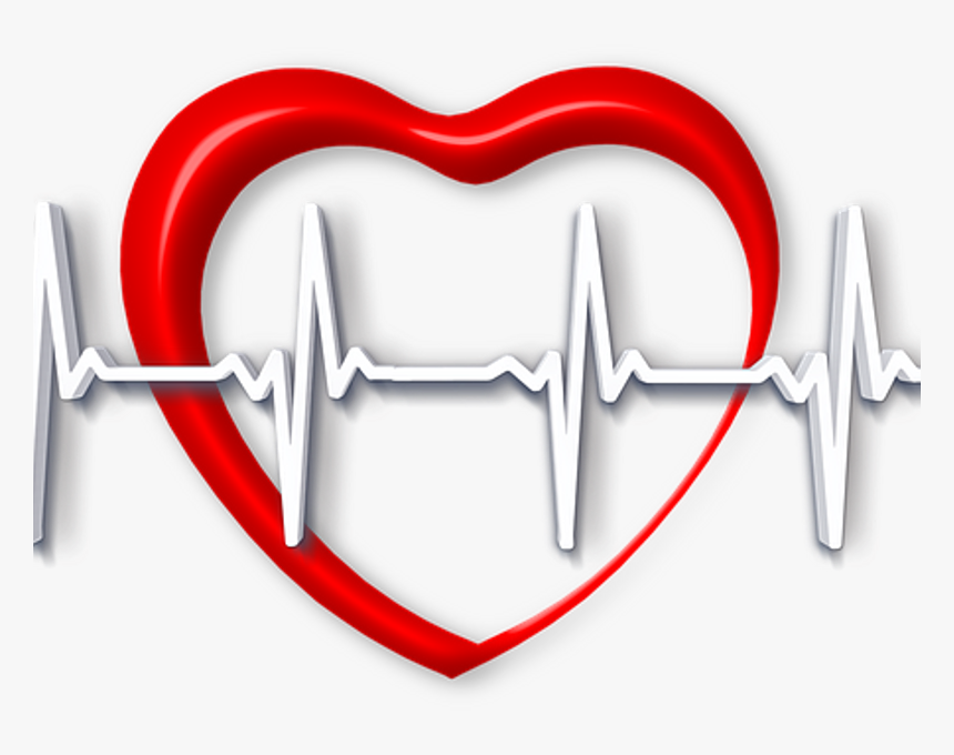 Transparent The Good Samaritan Clipart - Heart Related, HD Png Download