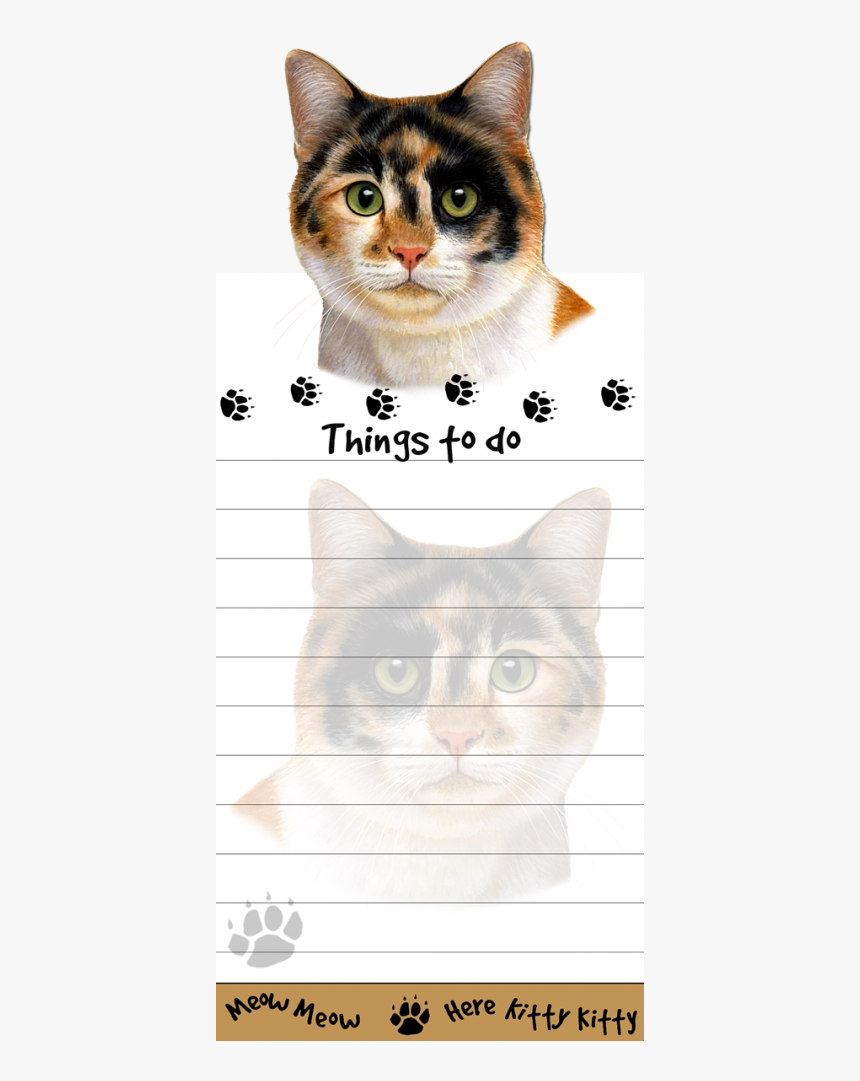 Calico Cat - Domestic Short-haired Cat, HD Png Download